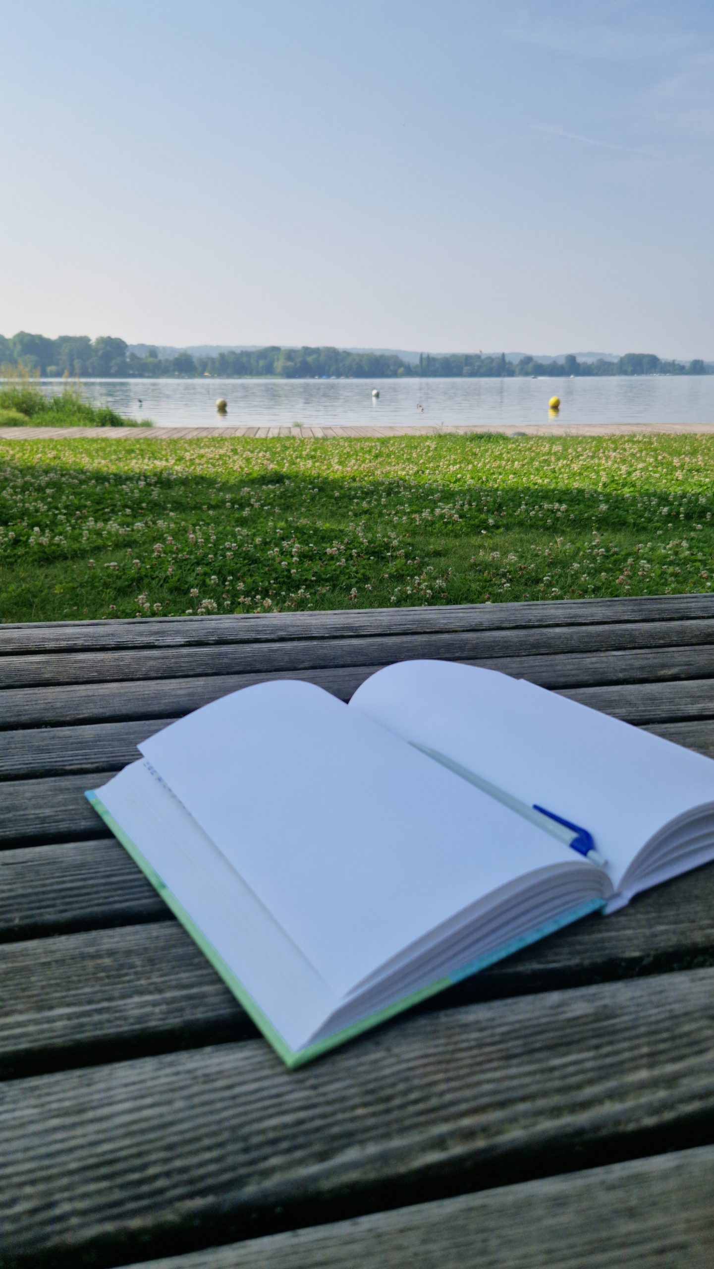 journaling en phase menstruelle graphique des quatre phases du cycle menstruel