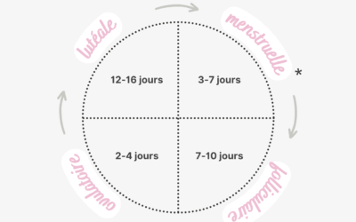 Les 4 phases du cycle menstruel expliquées simplement