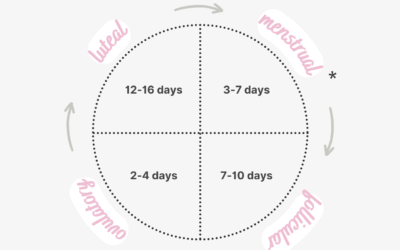 The Different Phases of the Menstrual Cycle Explained