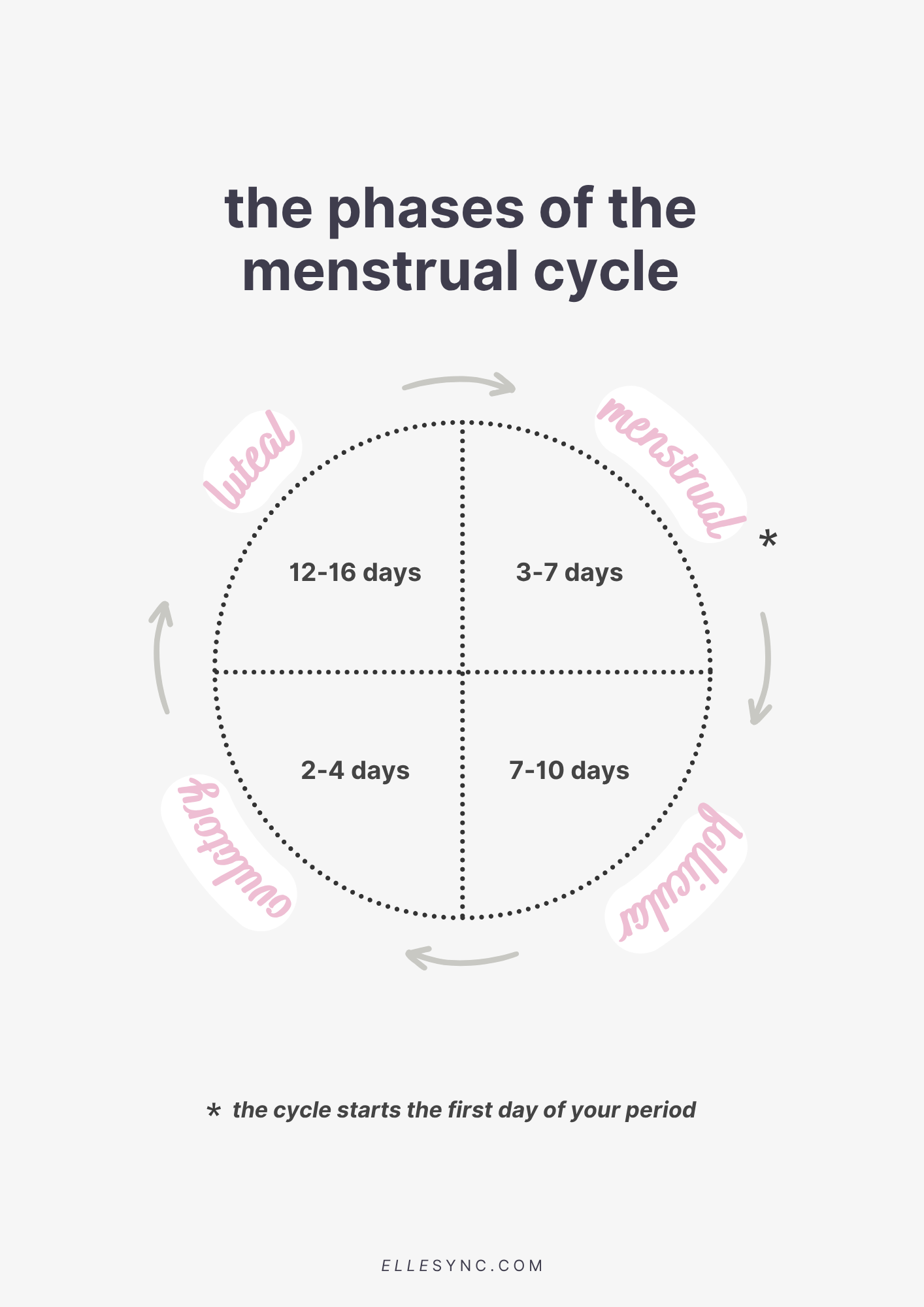 les 4 phases du cycle menstruel graphique des quatre phases du cycle menstruel