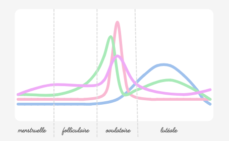 variations hormonales